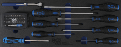 Nářaďový modul - BGS103343 Šroubováky a sada bitů s magnetem. Pro BGS 103312 (Sada 41 dílů)